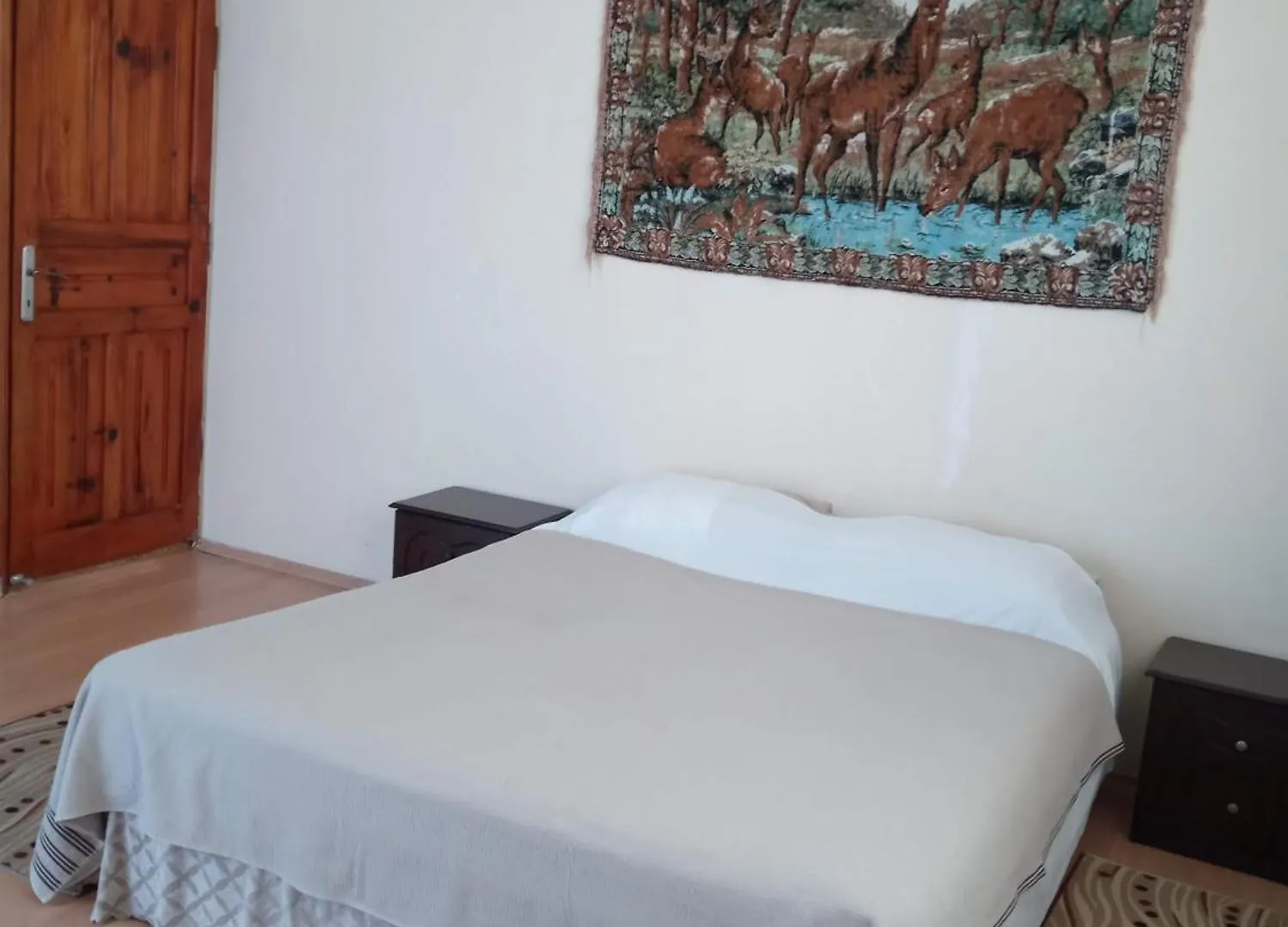 Hzd Apartments Hostel Fethiye Turkey